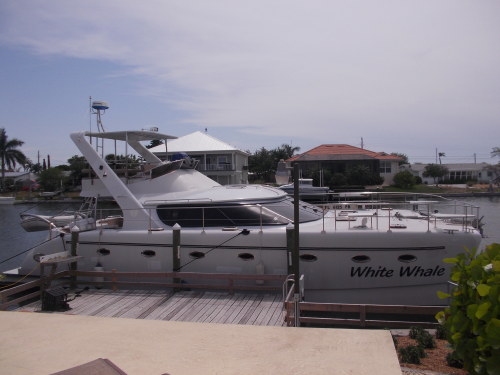 Catamarans WHITE WHALE, Manufacturer: CHARTER CATS SA, Model Year: 2009, Length: 48ft, Model: Prowler 48, Condition: Used, Listing Status: Catamaran for Sale, Price: USD 394000