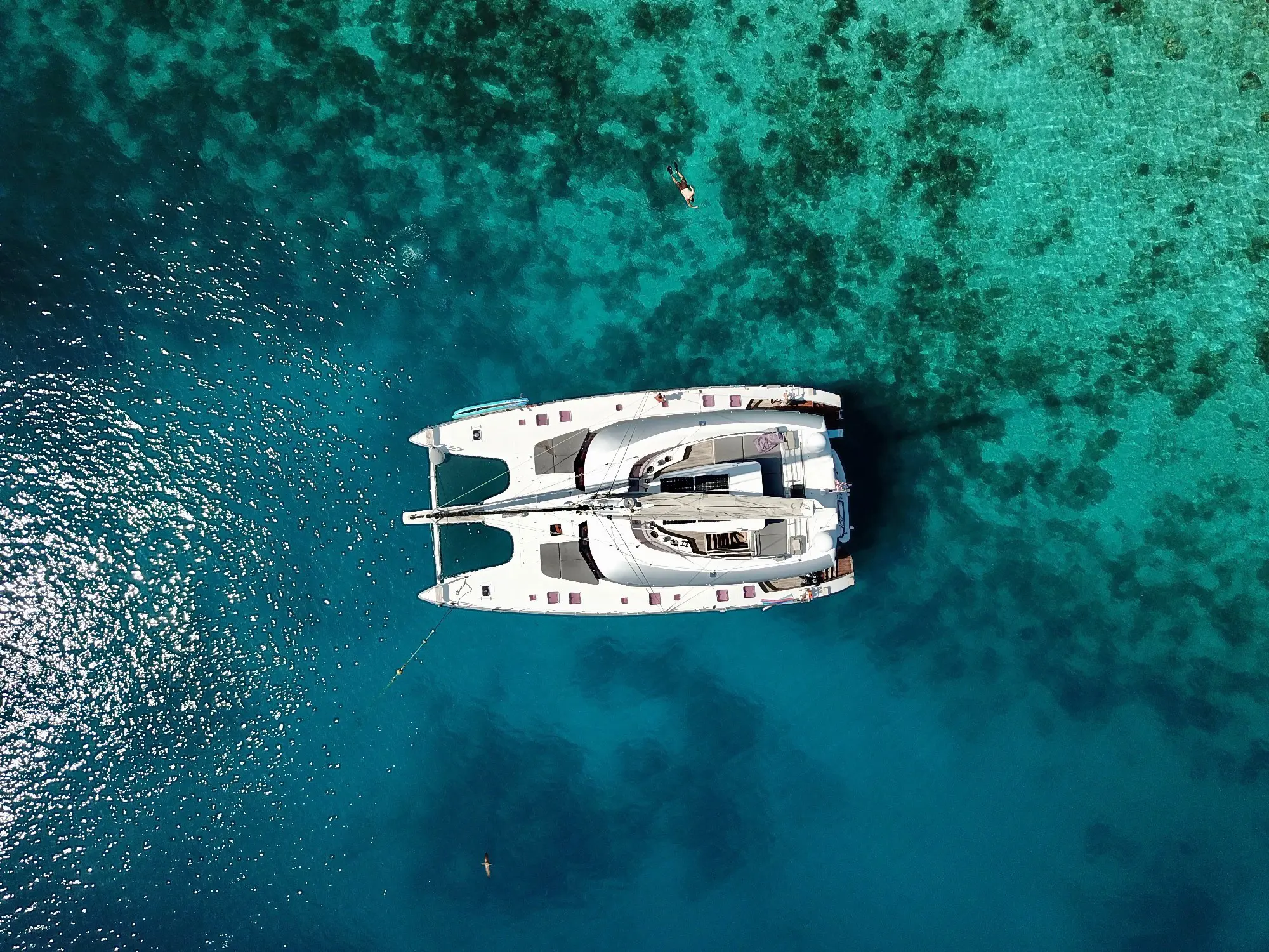 Used Sail Catamaran for Sale 2011 Sunreef 70 Boat Highlights Image Gallery