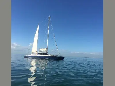 Custom 49 Used Sail