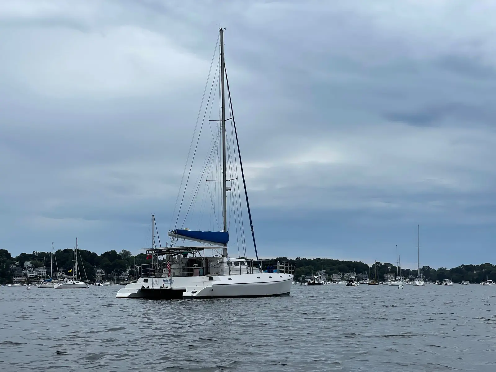 Used Sail Catamaran for Sale 2016 Custom 50 Additional Information Image Gallery