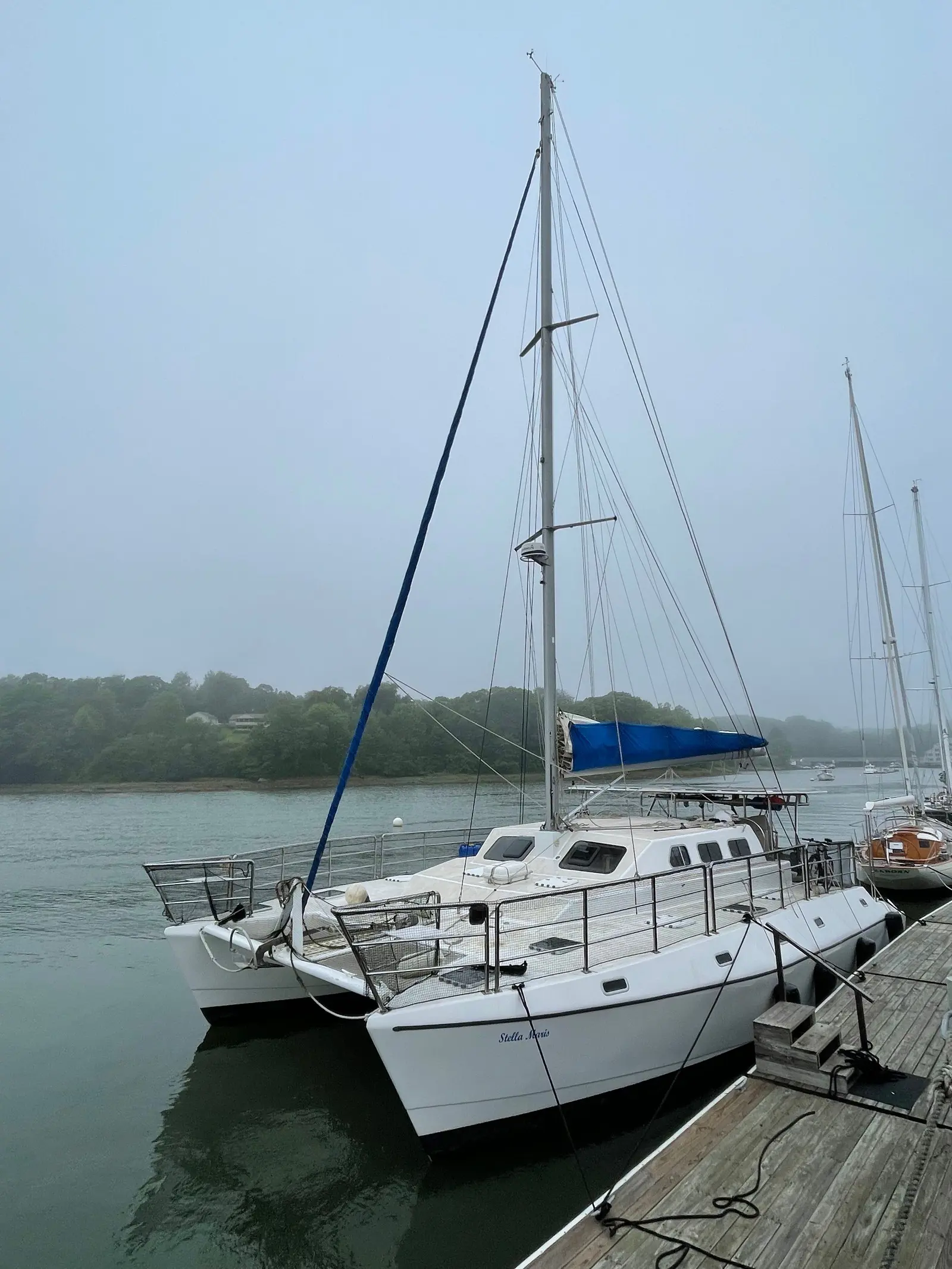 Used Sail Catamaran for Sale 2016 Custom 50 Additional Information Image Gallery