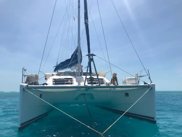 Used Sail Catamaran for Sale 2002 Leopard 42 Boat Highlights Image Gallery