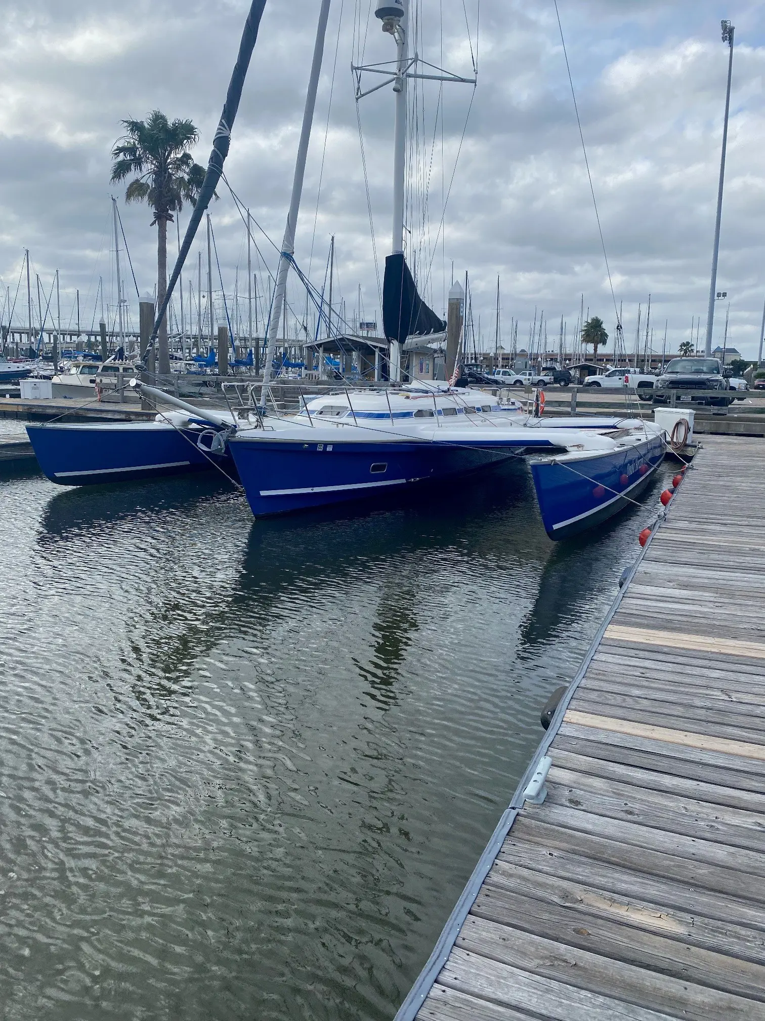 Used Sail Trimaran for Sale 2001 Quorning Dragonfly 1200 Boat Highlights Image Gallery