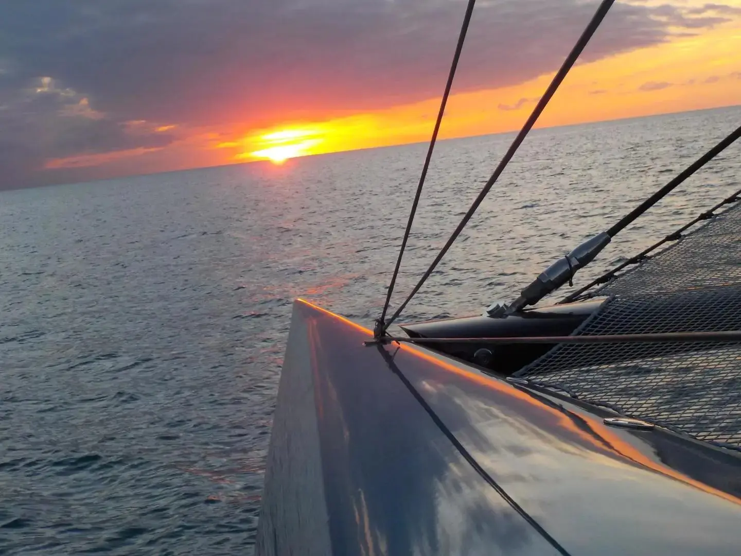 Used Sail Catamaran for Sale 2016 Gunboat 78 Boat Highlights Image Gallery