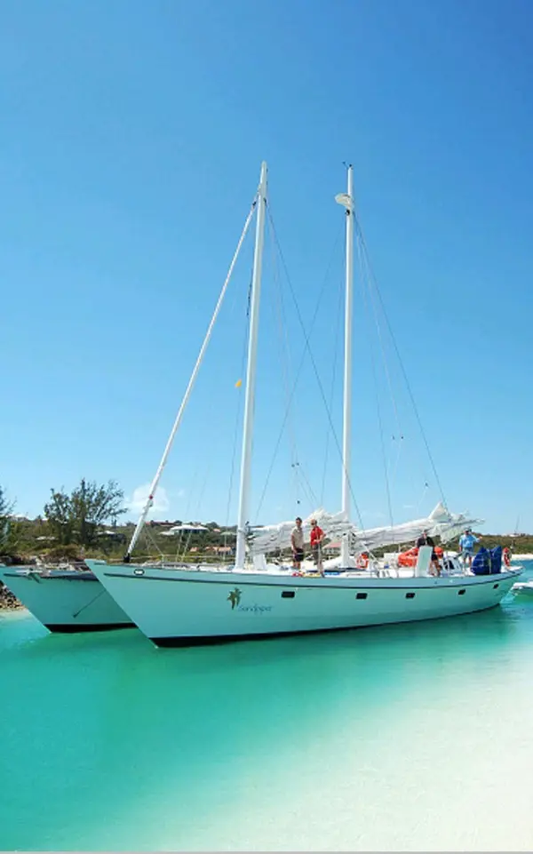 SAND PIPER Sail Custom Catamaran