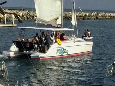 Sail Catamarans