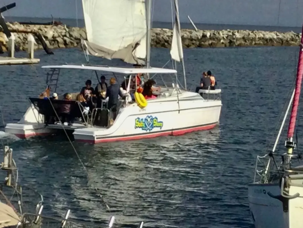 Used Sail Catamaran for sale 2019 GEMINI Freestyle 37 Used Sail Catamaran for sale 2019 GEMINI Freestyle 37