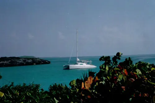 Used Sail Catamaran for Sale 1998 Ocean Cat  Boat Highlights Image Gallery