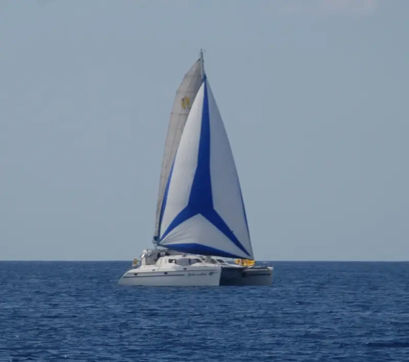 Used Sail Catamaran for Sale 2005 St. Francis 50 Used Sail Catamaran for Sale 2005 St. Francis 50