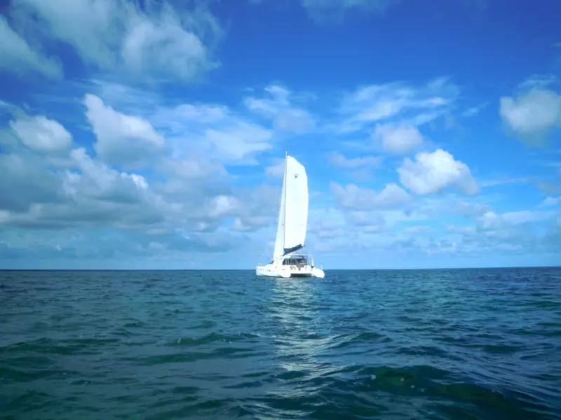 Used Sail Catamaran for Sale 2002 Leopard 42 Boat Highlights Image Gallery