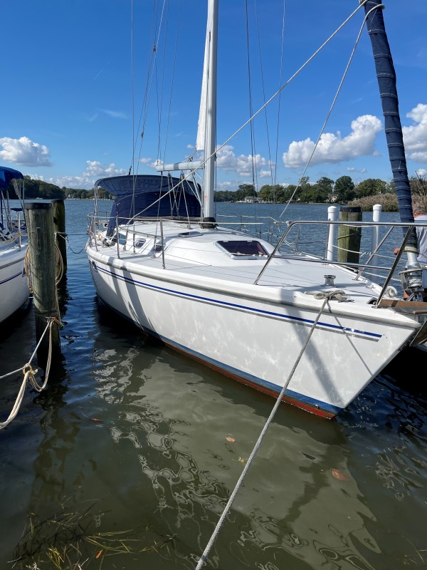 Catalina 36 MkII Used Sail