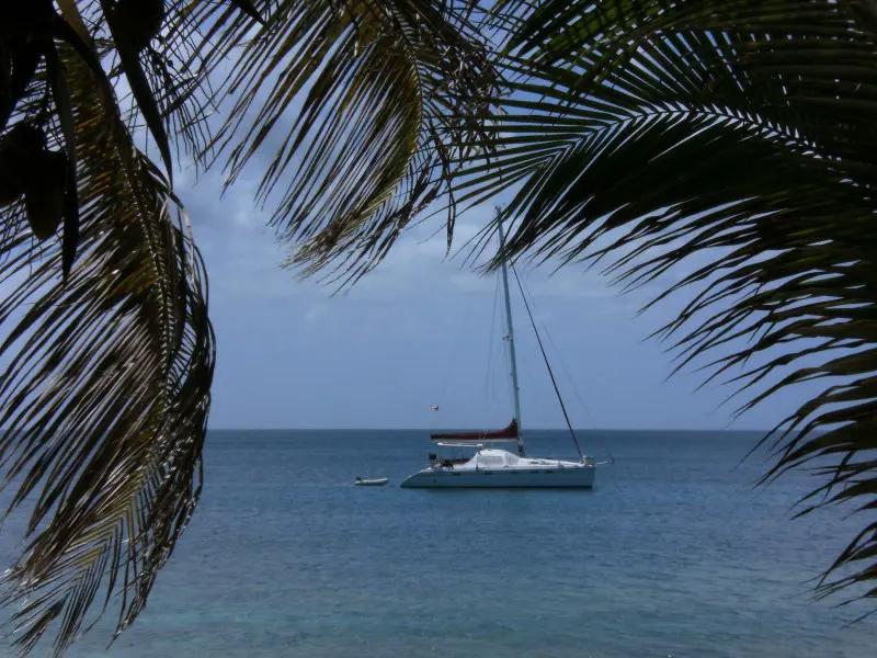 Used Sail Catamaran for Sale 2005 Privilege 495 Prestige-Owner's Version Boat Highlights Image Gallery