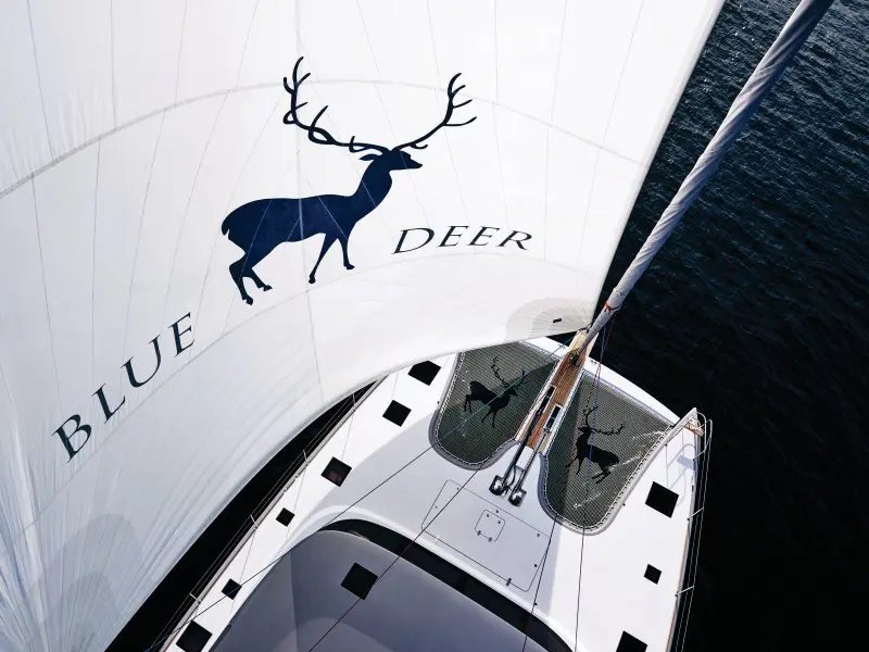 Launched Sail Catamaran for Sale  Sunreef 74 Boat Highlights Image Gallery