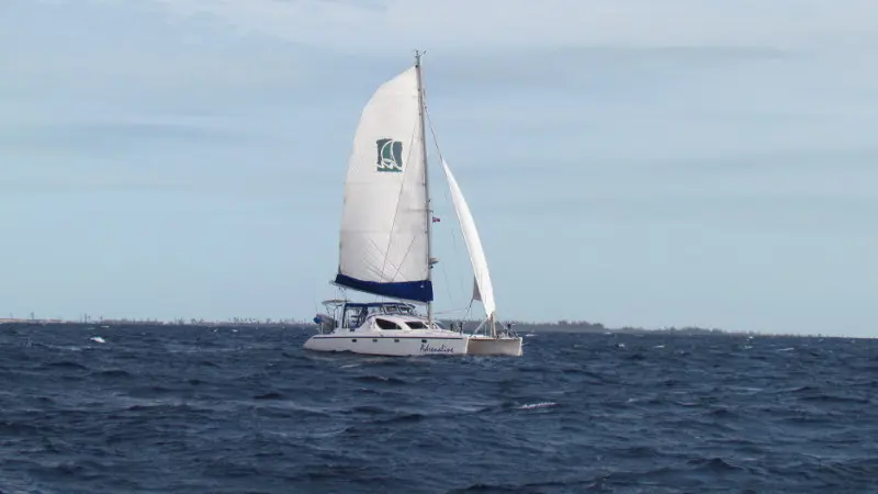 Used Sail Catamaran for Sale 2001 Voyage 38  Boat Highlights Image Gallery