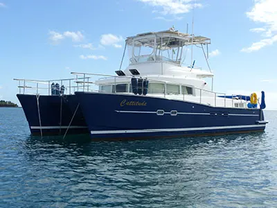 Lagoon 43 Power  Used Power
