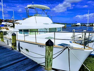 Lagoon 43 Power  Used Power
