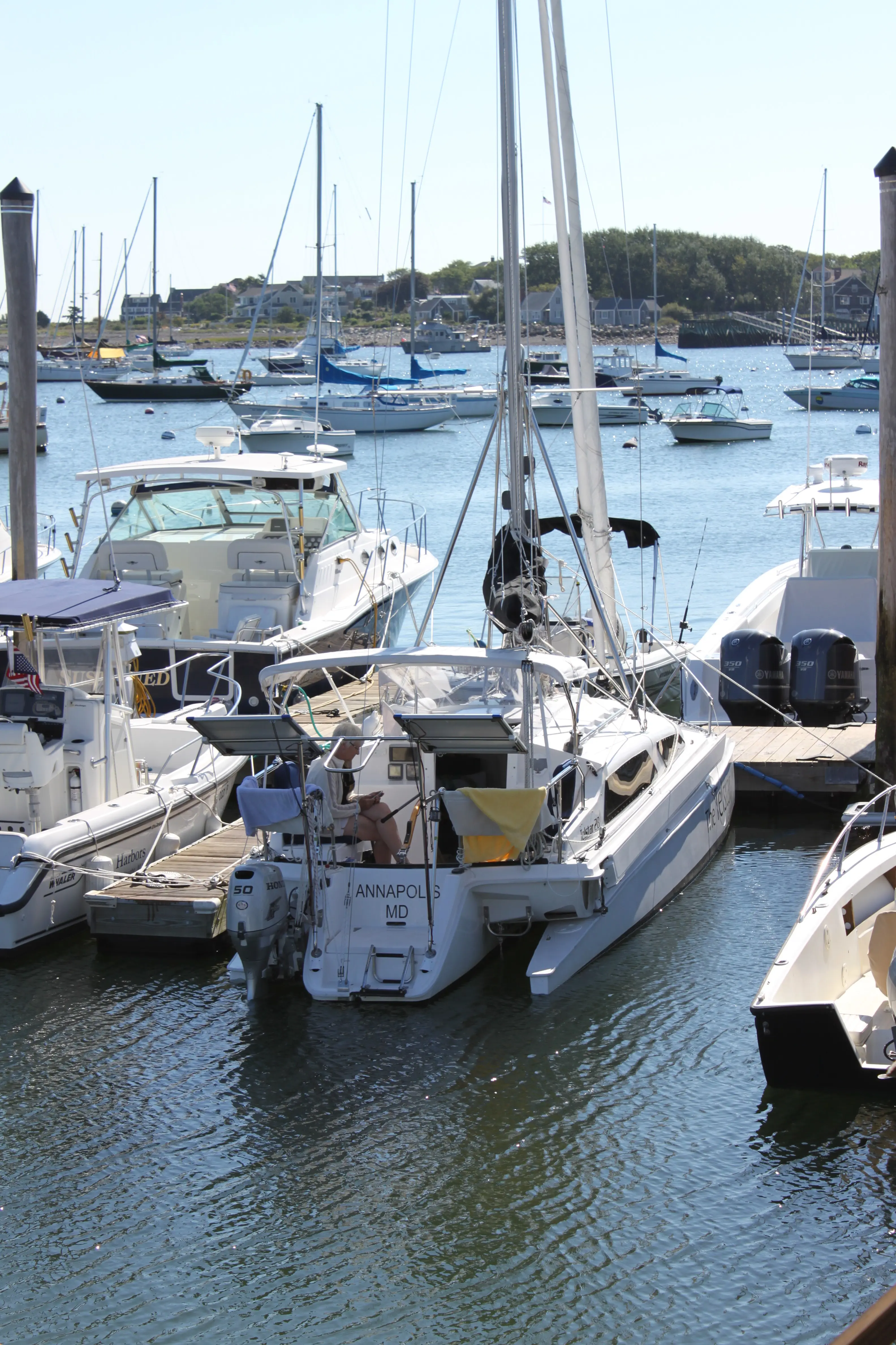 Used Sail Trimaran for Sale 2010 Telstar 28  Boat Highlights Image Gallery