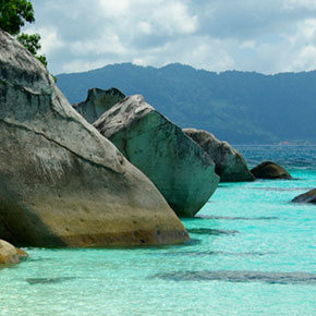 Portfolio Image