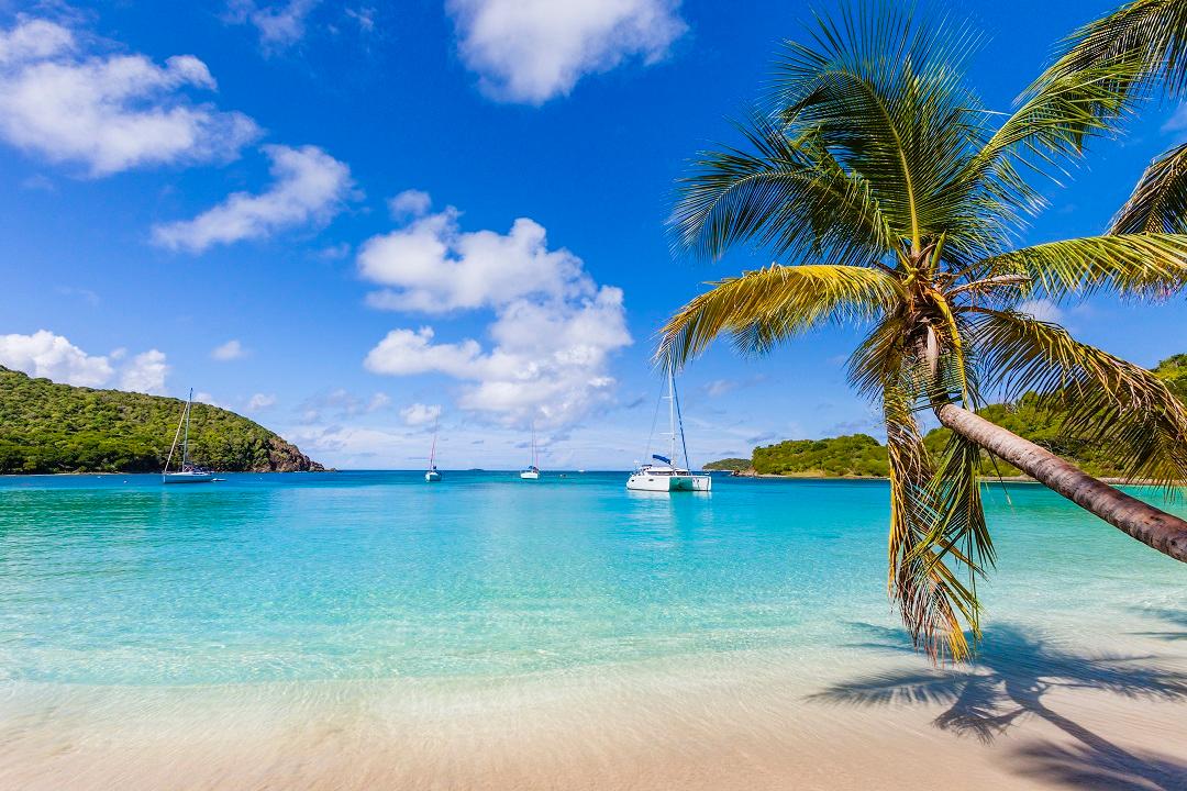 4 Recent Price Cuts| Video | Catamarans For Charter in USVI