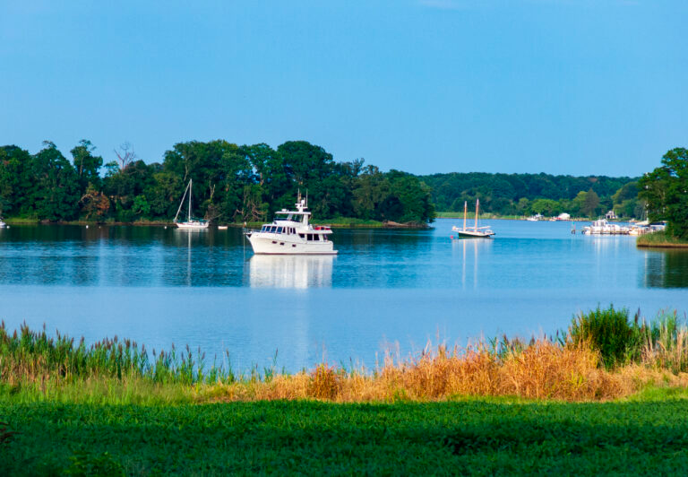 Catamaran Charters at Pier 7 Resort Marina!