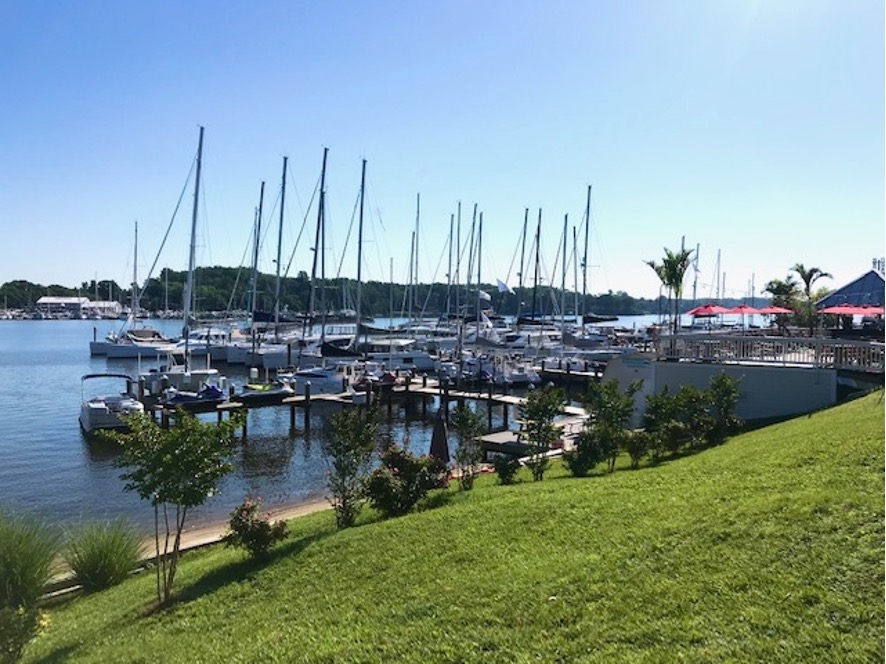 Catamaran Charters at Pier 7 Resort Marina!