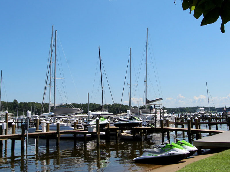 The Catamaran company  - Pier 7 Resort Marina