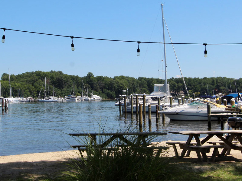 The Catamaran company  - Pier 7 Resort Marina