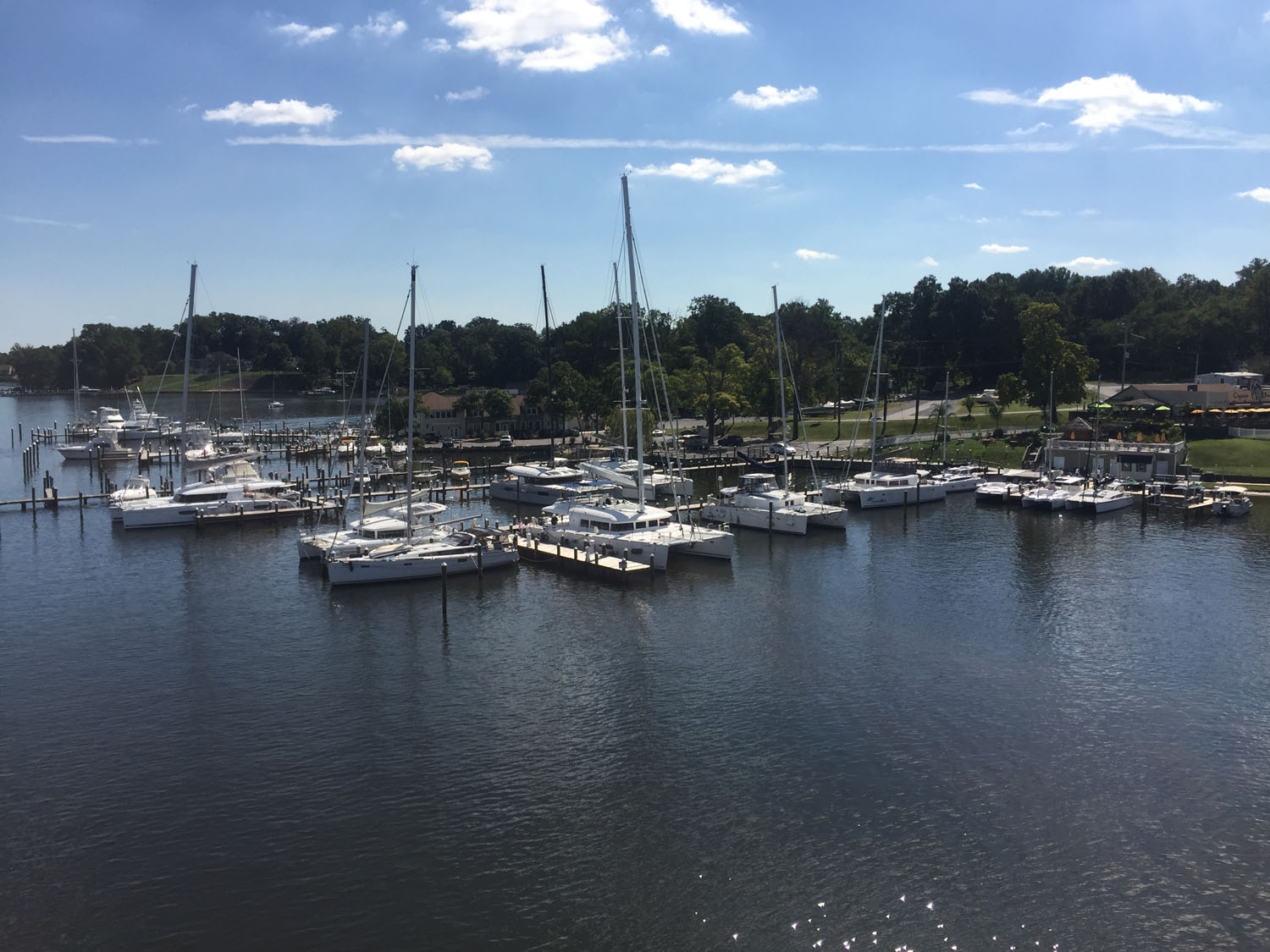 The Catamaran company - Pier 7 Resort Marina