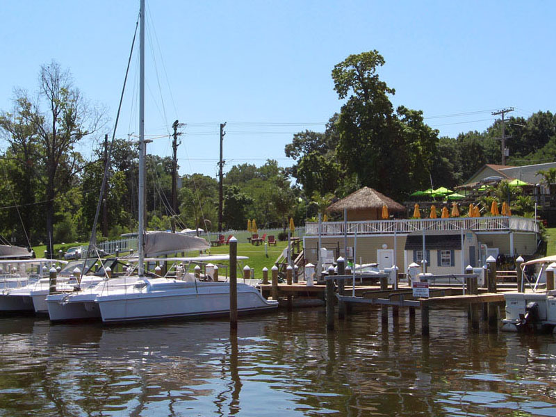 The Catamaran company  - Pier 7 Resort Marina