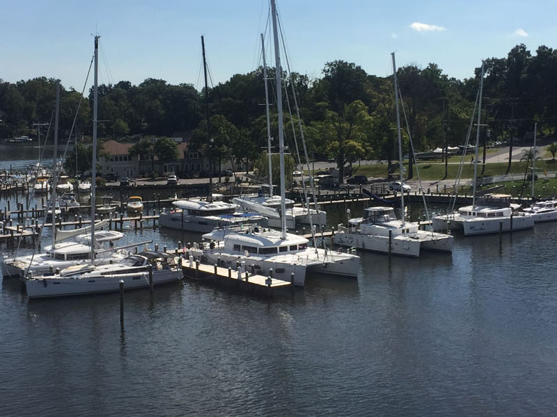 The Catamaran company  - Pier 7 Resort Marina
