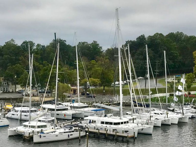 The Catamaran company  - Pier 7 Resort Marina