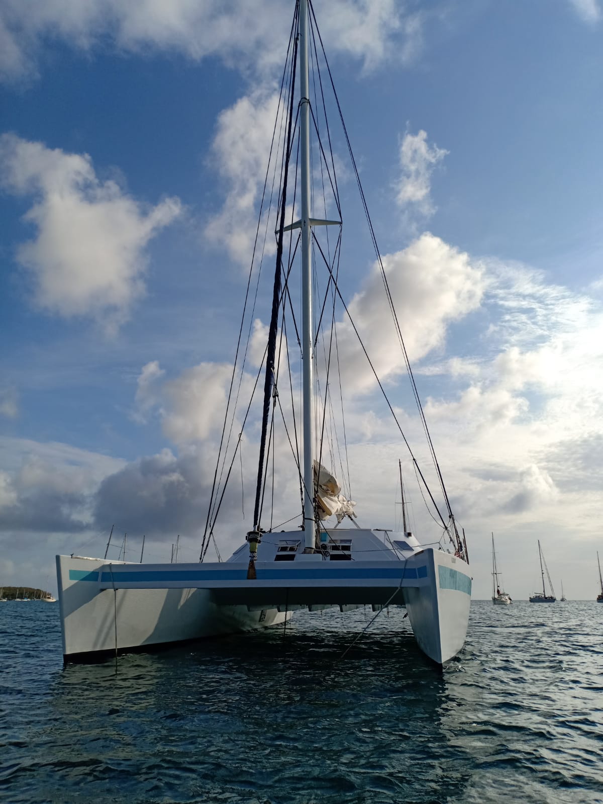 Used Sail Catamaran for Sale 2009 Sourisse Boat Highlights