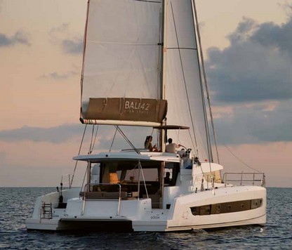 New Power Catamaran for Sale  Bali 4.2 Boat Highlights