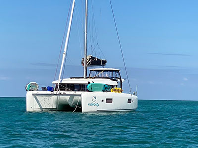 Used Sail Catamarans for Sale 2020 Lagoon 42