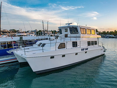 leopard 50 foot catamaran for sale