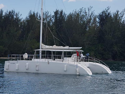Sail Catamarans for Sale  Day Charter 50