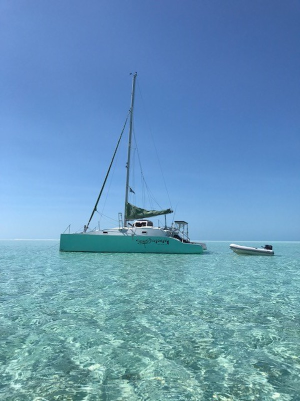 10 Apr Latest Listings and Price Cuts on Catamarans.com 