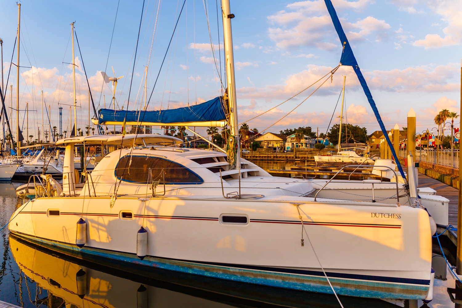 Most Popular Catamarans Online in Last 30 Days 